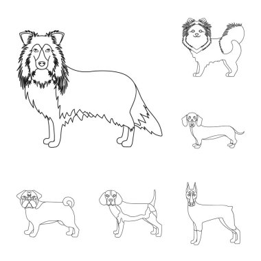 Sevimli vektör tasarımı ve kutsal kişilerin resmi. Şirin topluluğu ve hisse senedi için vektör simgesi.