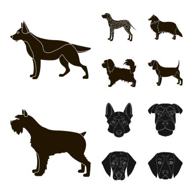 Şirin izole nesnesini ve köpek yavrusu sembolü. Şirin ve hayvan hisse senedi simgesi için web topluluğu.