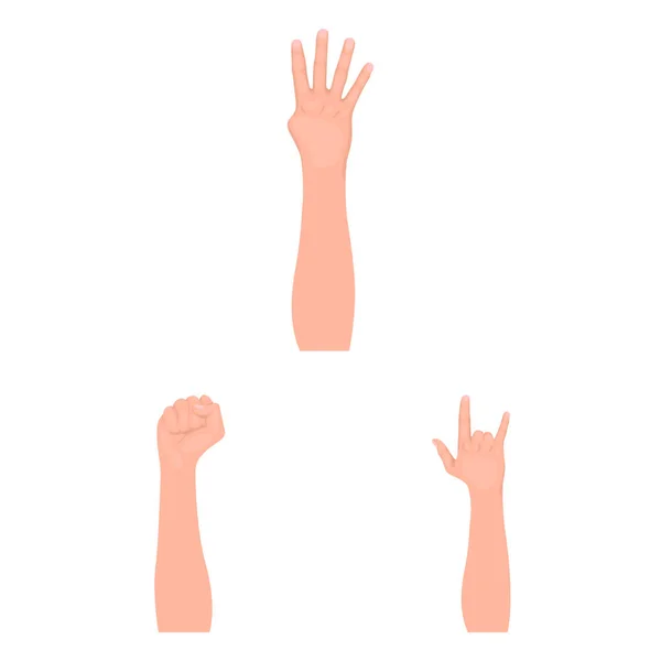 Vector illustration of animated and thumb sign. Collection of animated and gesture vector icon for stock. — Stock Vector