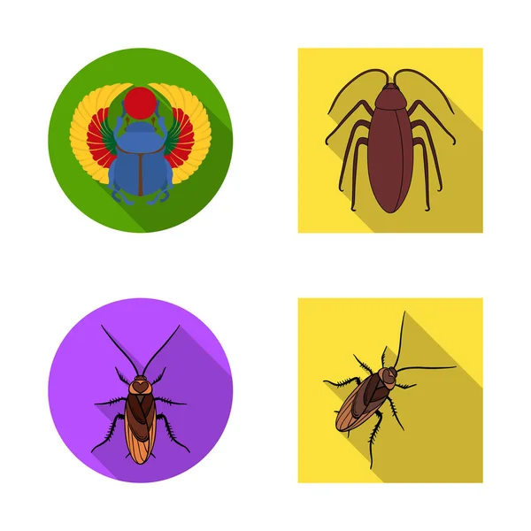Vektorová design ikony hmyzu a brouk. Sbírku hmyzu a halloween burzovní symbol pro web. — Stockový vektor