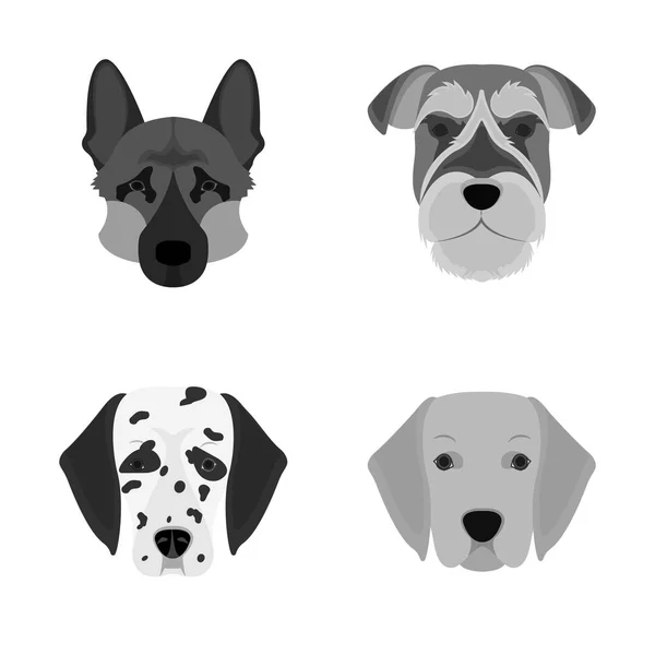 Objeto aislado de signo lindo y cachorro. Conjunto de icono de vector lindo y animal para la acción . — Vector de stock