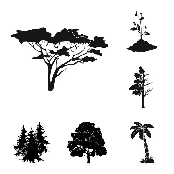 Projeto vetorial de árvore e símbolo da floresta. Coleção de árvore e ícone de vetor verde para estoque . — Vetor de Stock