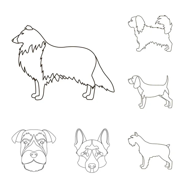 Ilustração vetorial do sinal bonito e filhote de cachorro. Coleção de bonito e animal símbolo de estoque para web . — Vetor de Stock