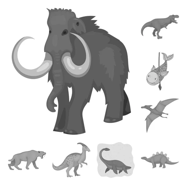 Objet isolé du logo animal et de caractère. Collection d'icône vectorielle animale et ancienne pour stock . — Image vectorielle