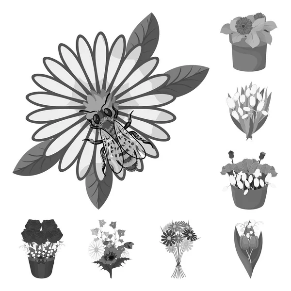 Ilustración vectorial del icono de primavera y corona. Conjunto de primavera y flor símbolo de stock para la web . — Archivo Imágenes Vectoriales