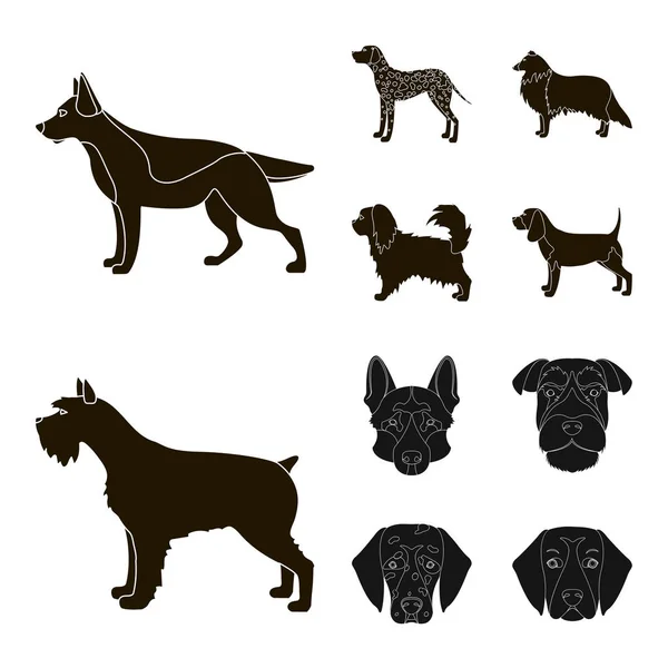 Objeto aislado de símbolo lindo y cachorro. Colección de lindo y animal símbolo de stock para la web . — Vector de stock