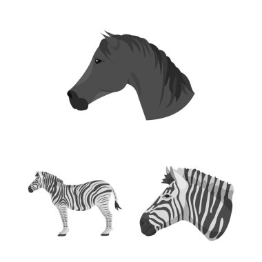 Tırıs ve koşma simge vektör tasarımı. Tırıs ve clipart vektör simgesini hissenin topluluğu.