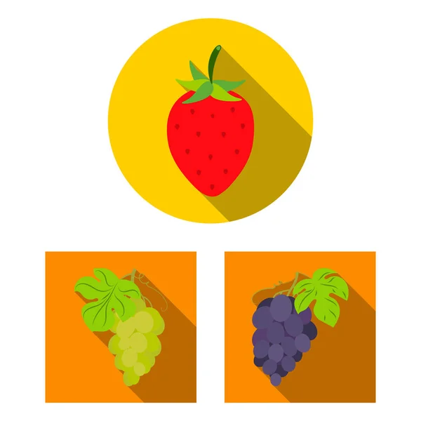 Ilustração vetorial de baga e sinal de fruta. Conjunto de baga e redberry ilustração stock vector . — Vetor de Stock