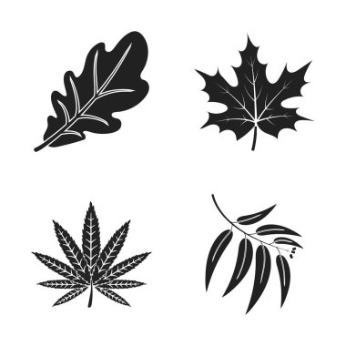 Vegan ve organik logo vektör tasarımı. Vegan ve taze stok vektör çizim koleksiyonu.