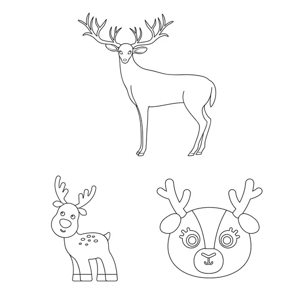 麋鹿和头部图标的独立对象 收集麋鹿和雄鹿股票符号的网络 — 图库矢量图片