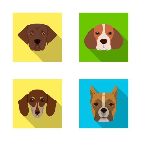 Isolated object of cute and puppy icon. Collection of cute and animal stock vector illustration. — Stock Vector