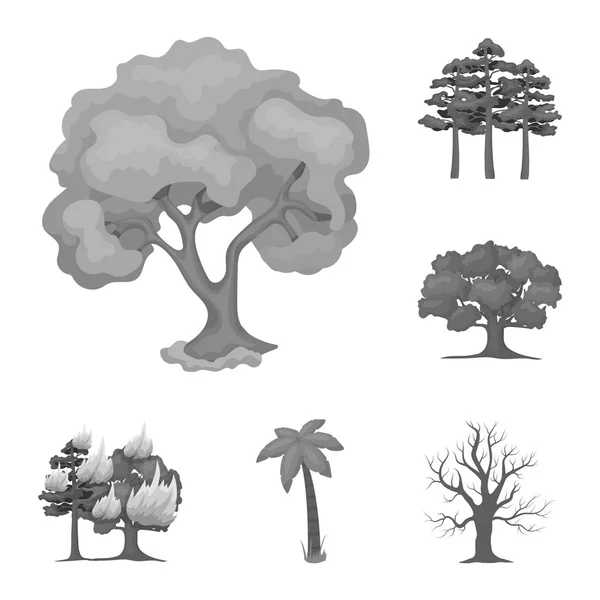 树和森林标志的向量例证。收集网络的树和绿色股票符号. — 图库矢量图片