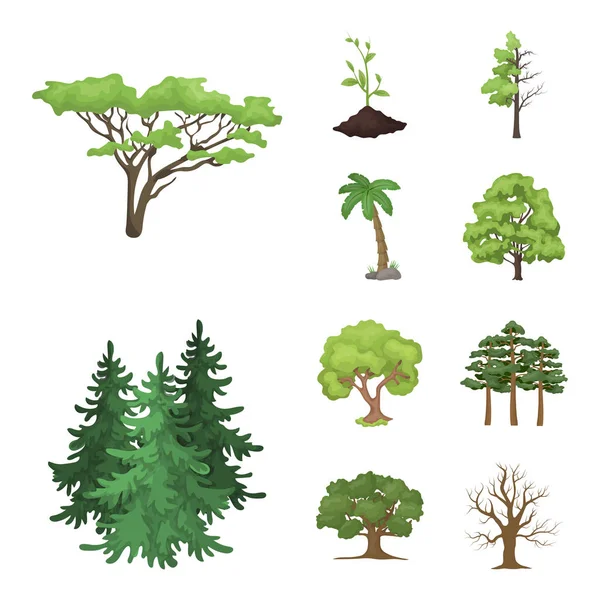 Vector illustration of tree  and forest sign. Set of tree  and green vector icon for stock. — Stock Vector