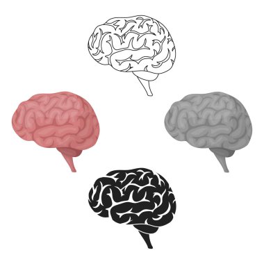 Beyaz arka planda izole edilmiş çizgi film tarzındaki beyin simgesi. organlar sembolü vektör illüstrasyonu.
