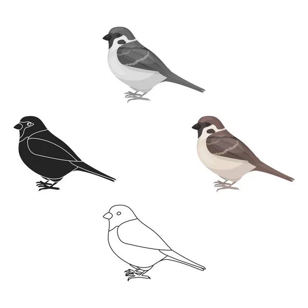 Wróbel ikona stylu kreskówka na białym tle. Ptak symbol Stockowa ilustracja wektorowa. — Wektor stockowy