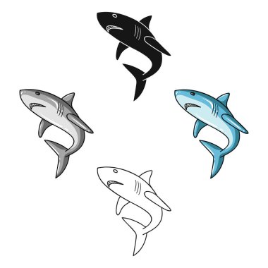 Büyük beyaz köpekbalığı simgesi beyaz arka plan üzerinde izole karikatür tasarım. Sörf sembol stok vektör çizim.