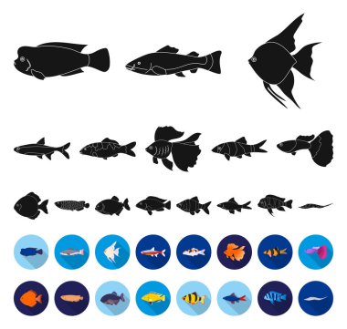 Set koleksiyonu tasarım için balık siyah, düz simgeler farklı türleri. Deniz ve akvaryum balık sembol stok web illüstrasyon vektör.