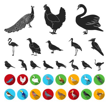 Set koleksiyonu tasarım için kuşlar siyah, düz simgeler türleri. Ev ve vahşi kuş vektör simge stok web çizim.