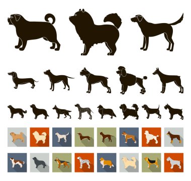 Köpek ırkları set koleksiyonu tasarım için siyah, düz simgeler. Köpek evde beslenen hayvan vektör simge stok web çizim.