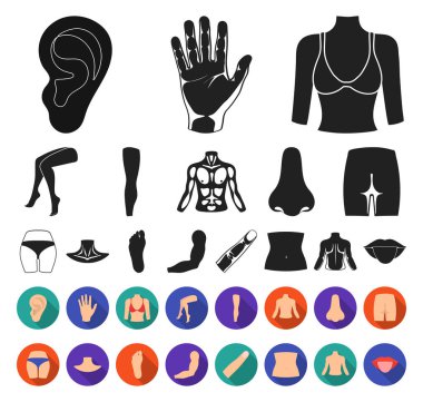 Gövde, kol siyah, düz simgeler set koleksiyonu tasarım için bölümü. İnsan anatomisi vektör simge stok web çizimi.
