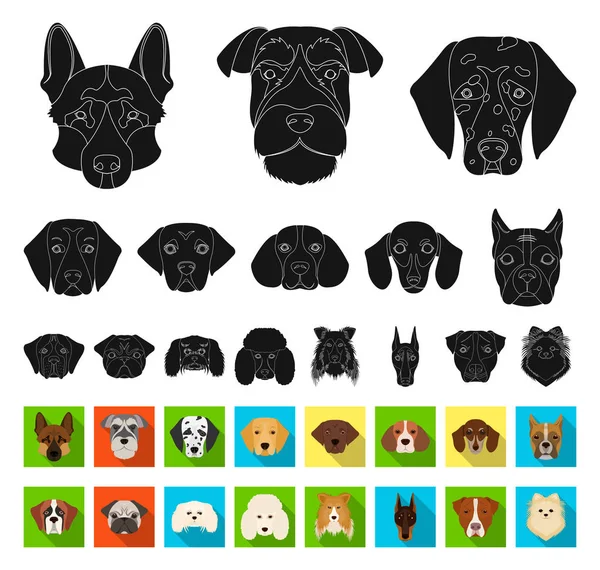 Chien de races noir, des icônes plates dans la collection ensemble pour le design.Museau d'un chien vecteur symbole illustration web stock . — Image vectorielle