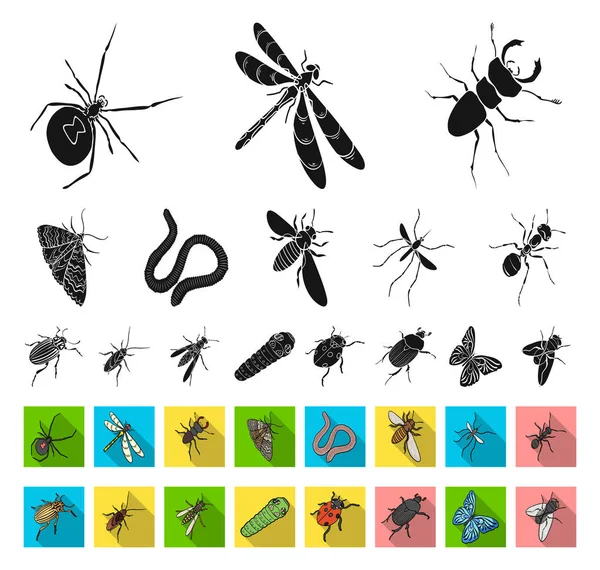 Verschiedene arten von insekten schwarz, flache symbole in set-kollektion für design. Insekt Arthropoden Vektor isometrisches Symbol Stock Web Illustration. — Stockvektor