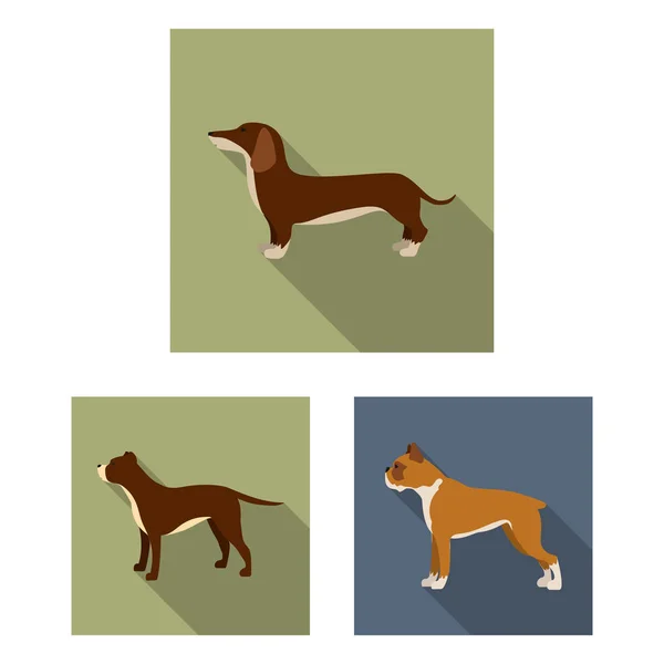 Vector ontwerp van schattig en puppy-logo. Collectie van leuke en dierlijke vector pictogram voor voorraad. — Stockvector