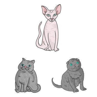 Evde beslenen hayvan ve sphynx simge vektör tasarımı. Evde beslenen hayvan ve eğlenceli hisse senedi toplama illüstrasyon vektör.