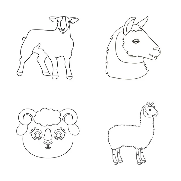 Desenho vetorial do sinal de ovelha e cabra. Conjunto de ovelhas e ícone vetor feliz para estoque . —  Vetores de Stock