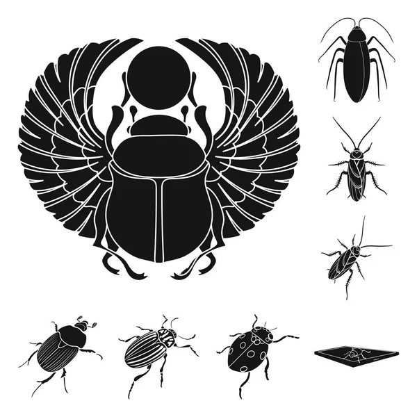 Isolated object of insect and beetle icon. Set of insect and halloween stock symbol for web. — Stock Vector