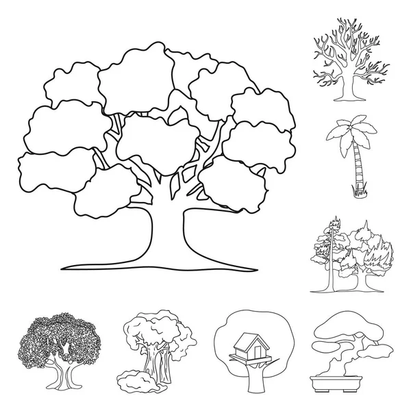 Objeto isolado de árvore e ícone de floresta. Coleção de árvore e ilustração de vetor de estoque verde . — Vetor de Stock