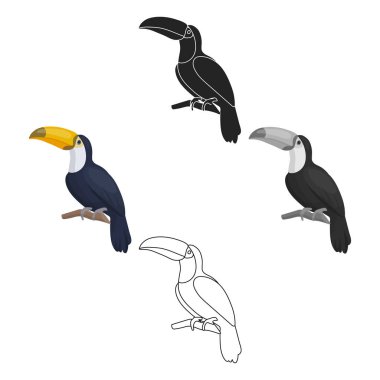 Beyaz arka plan üzerinde izole karikatür tarzı toucan simgesini. Kuş sembol stok vektör çizim.