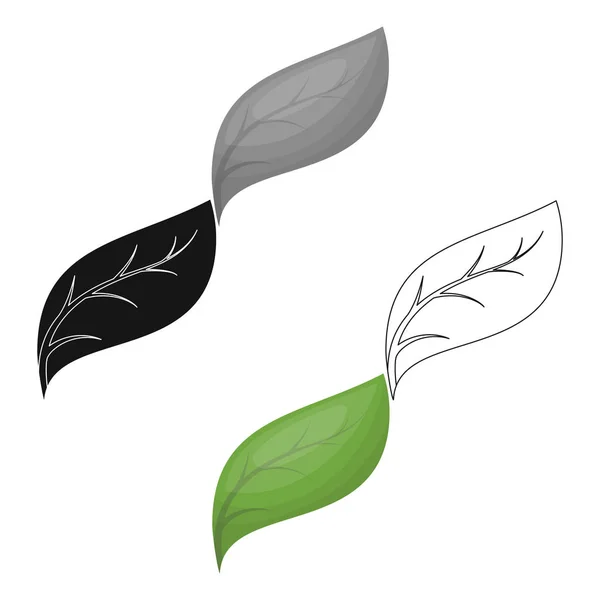 Иконка эко-листа в стиле контура выделена на белом фоне. Био- и экологическая символика . — стоковый вектор