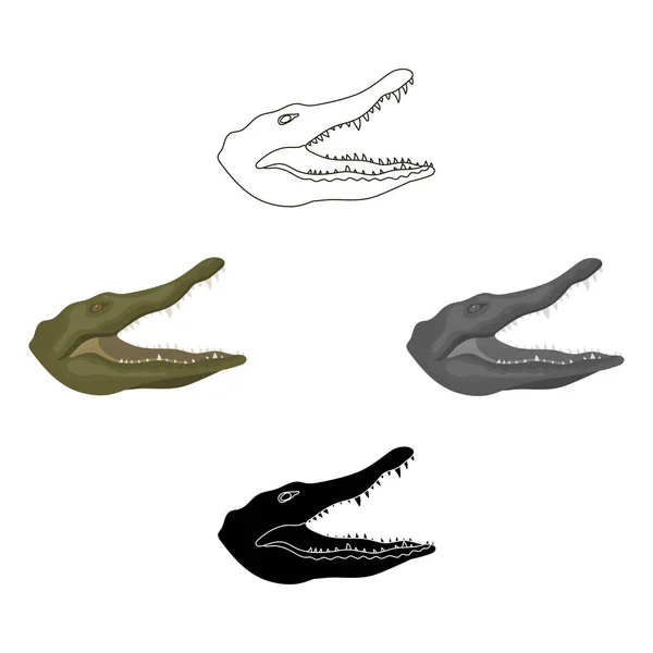 Icône de crocodile en style dessin animé isolé sur fond blanc. Illustration vectorielle de stock d'animaux réalistes . — Image vectorielle