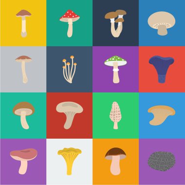 Poisonous and edible mushroom cartoon icons in set collection for design. Different types of mushrooms vector symbol stock web illustration. clipart