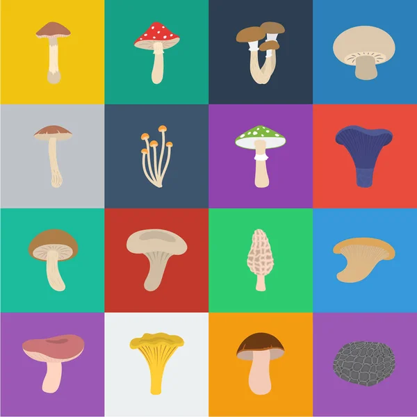 Giftige en eetbare paddenstoelen cartoon pictogrammen in set collectie voor design. Verschillende soorten paddestoelen symbool voorraad web illustratie vector. — Stockvector