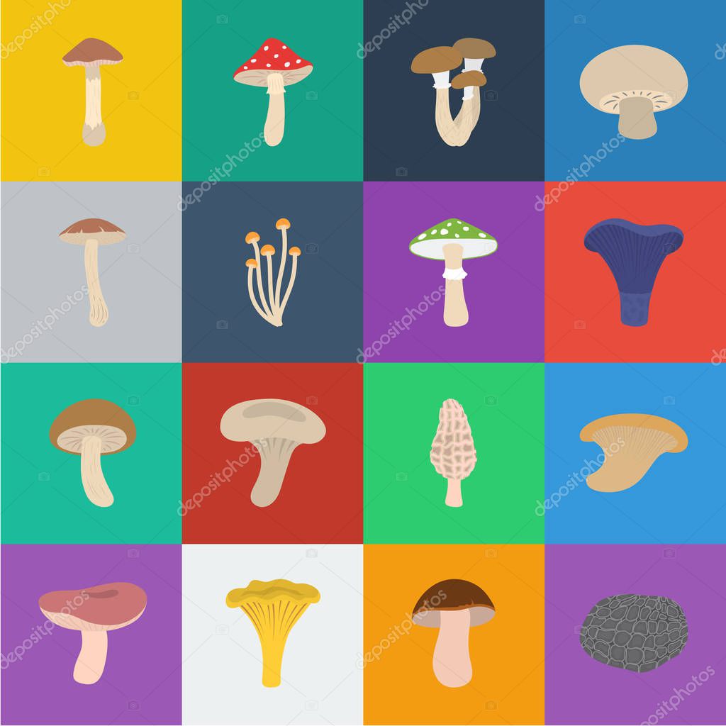 Poisonous and edible mushroom cartoon icons in set collection for design. Different types of mushrooms vector symbol stock  illustration.