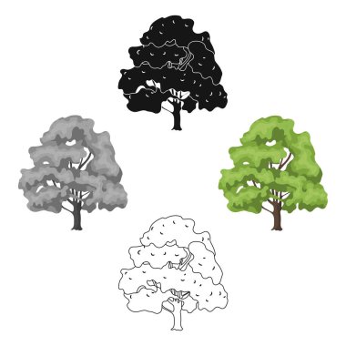 Kanada akçaağaç. Kanada tek kutsal kişilerin resmi içinde karikatür tarzı vektör simge stok çizim web.