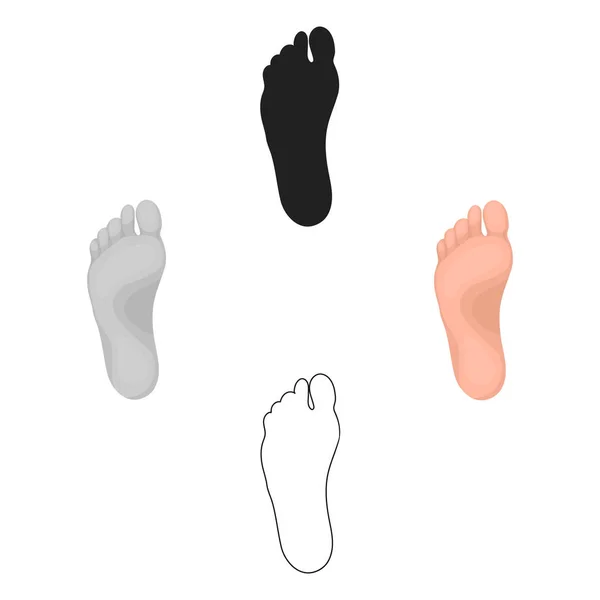 Icône de pied en style dessin animé isolé sur fond blanc. Partie du symbole du corps illustration vectorielle de stock . — Image vectorielle