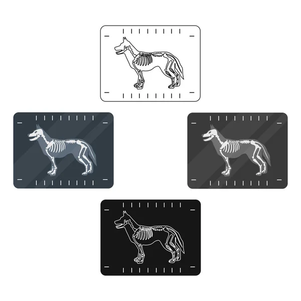 Icono de rayos X para perros en estilo de dibujos animados aislado sobre fondo blanco. Veterinaria clínica símbolo stock vector ilustración . — Archivo Imágenes Vectoriales