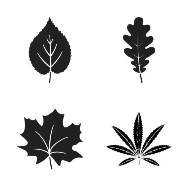 Vegan ve organik simge vektör tasarımı. Vegan ve taze stok vektör çizim.