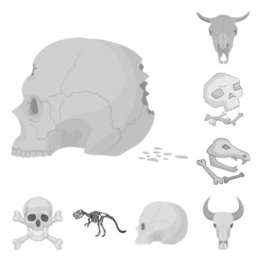 İskelet ve karakter simge vektör tasarımı. İskelet ve Cadılar Bayramı hisse senedi simgesi için web topluluğu.