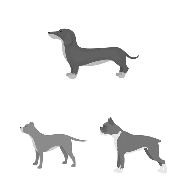 Design vetorial do ícone bonito e filhote de cachorro. Coleção de bonito e animal símbolo de estoque para web . — Vetor de Stock