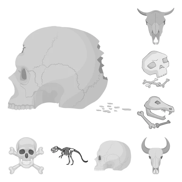 Diseño vectorial de esqueleto y símbolo de carácter. Colección de esqueleto y el símbolo de Halloween stock para la web . — Archivo Imágenes Vectoriales