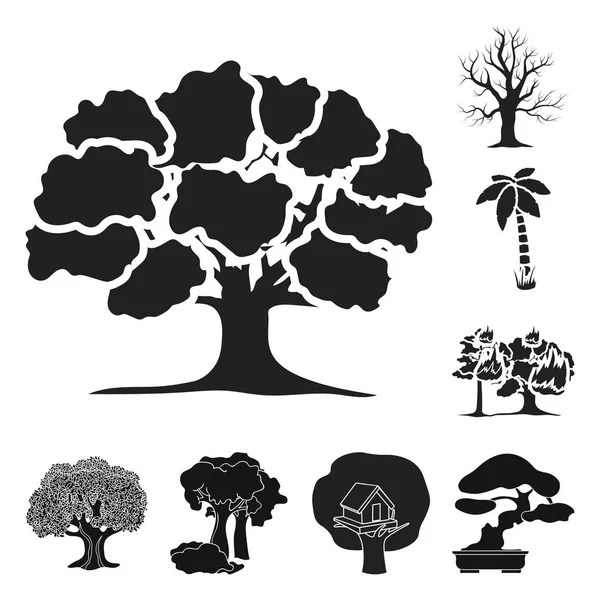 Vector design of tree  and forest icon. Set of tree  and green stock symbol for web. — Stock Vector