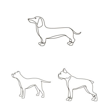 Sevimli vektör tasarımı ve köpek yavrusu simgesi. Hisse senedi için şirin ve hayvan vektör simge kümesi.