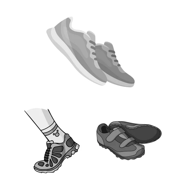 Vector design of shoe and sport icon. Collection of shoe and fitness vector icon for stock. — Stock Vector