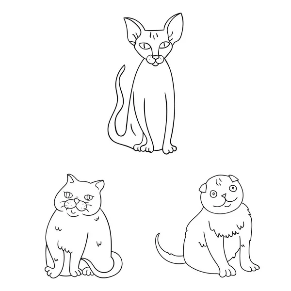 Illustrazione vettoriale del simbolo dell'animale domestico e della sfinge. Set di animali domestici e divertente illustrazione vettoriale stock . — Vettoriale Stock