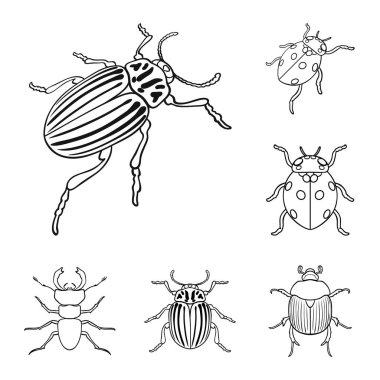 Böcek ve böcek simge vektör tasarımı. Web için böcek ve Cadılar Bayramı hisse senedi simgesi kümesi.