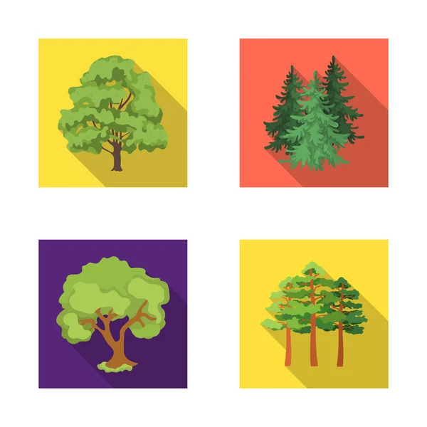 Objeto isolado de árvore e ícone de floresta. Conjunto de árvore e símbolo de estoque verde para web . — Vetor de Stock